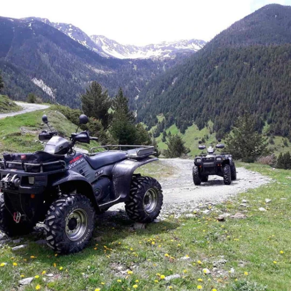 quad